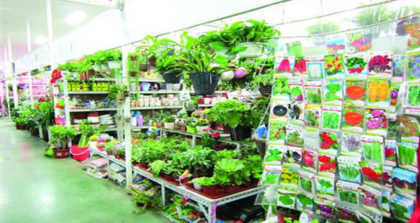 图片新闻-新华网苏州频道